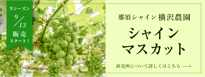 シャインマスカット